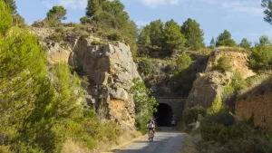 Altomira Campsite 