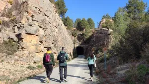 Altomira Campsite 