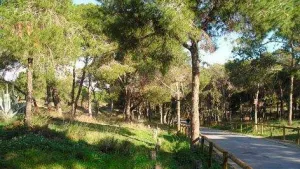 Alannia Guardamar Campsite 