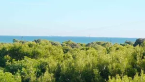 Alannia Guardamar Campsite 