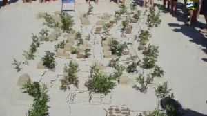 Villaggio Camping Capo Ferrato - Costa Rei