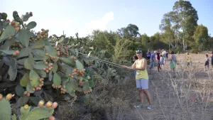 Villaggio Camping Capo Ferrato - Costa Rei