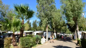 Campsite Les Palmiers