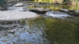 Flower Camping La Rivière