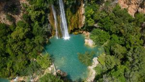Flower Camping La Rivière