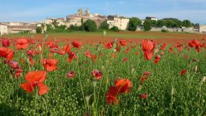 Flower Camping La Rivière