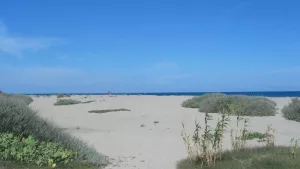 Campsite Le Sainte Marie