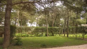 Campsite Le Sainte Marie
