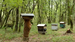 DéfiPlanet'