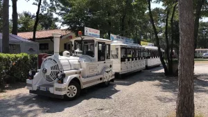Campingdorf Mare Pineta