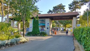 Campingdorf Mare Pineta