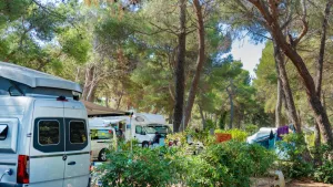 Village Poljana Campsite