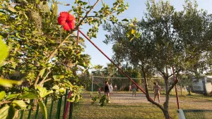 Sporting Club Village