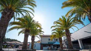 Camping Le Vieux Port