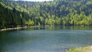 Camping LA STÈNIOLE