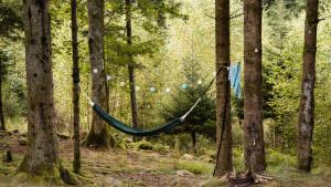 Camping LA STÈNIOLE