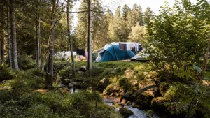 Camping LA STÈNIOLE