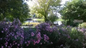 Camping Le Plein Air Neuvicois