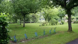 Camping Le Plein Air Neuvicois