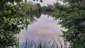 Camping de Mesqueau