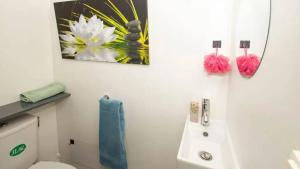 Flower Camping  A La Rencontre du Soleil