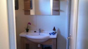 Flower Camping  A La Rencontre du Soleil