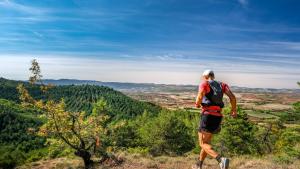 Le Hameau des Genêts