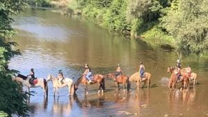 Le Hameau des Genêts