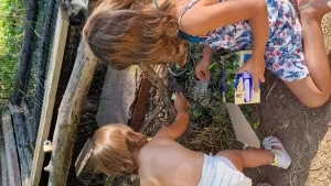 Le Hameau des Genêts