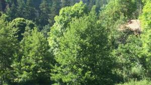 Flower Camping La Rochelambert