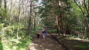 Flower Camping La Rochelambert