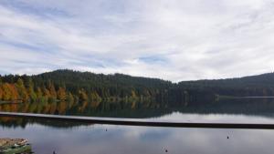 Flower Camping La Rochelambert