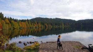 Flower Camping La Rochelambert