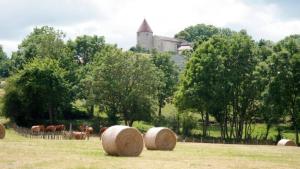 Flower Camping La Rochelambert