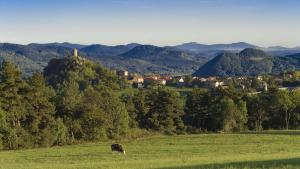 Flower Camping La Rochelambert