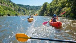 Flower Camping La Rochelambert