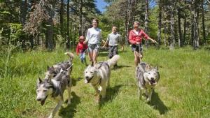 Flower Camping La Rochelambert