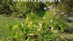 Flower Camping La Rochelambert