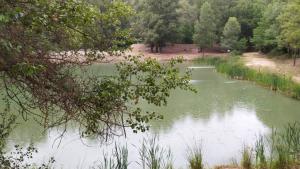 Flower Camping La Rivière