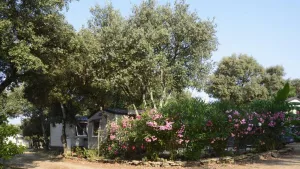 Domaine de Gajan Campsite