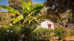 Domaine de Gajan Campsite