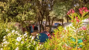 Domaine de Gajan Campsite