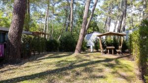 Camping Le Vieux Port