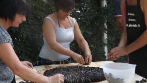 Camping FONTAINE DU ROC