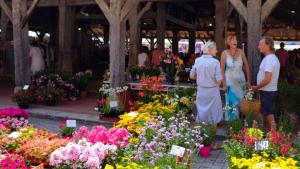 Camping FONTAINE DU ROC
