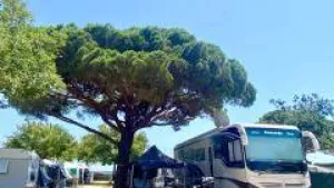 Camping Vall d’Or