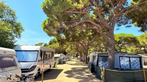 Camping Vall d’Or