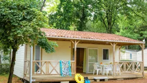 Camping Au Bois Des Biches