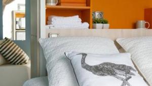 Flower Camping La Rivière