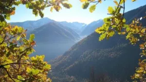 Campingplatz Camping du Lac